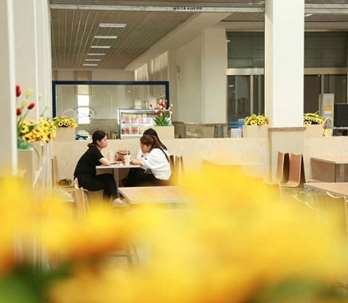 ������ҵʳ�óа�������ʲô����